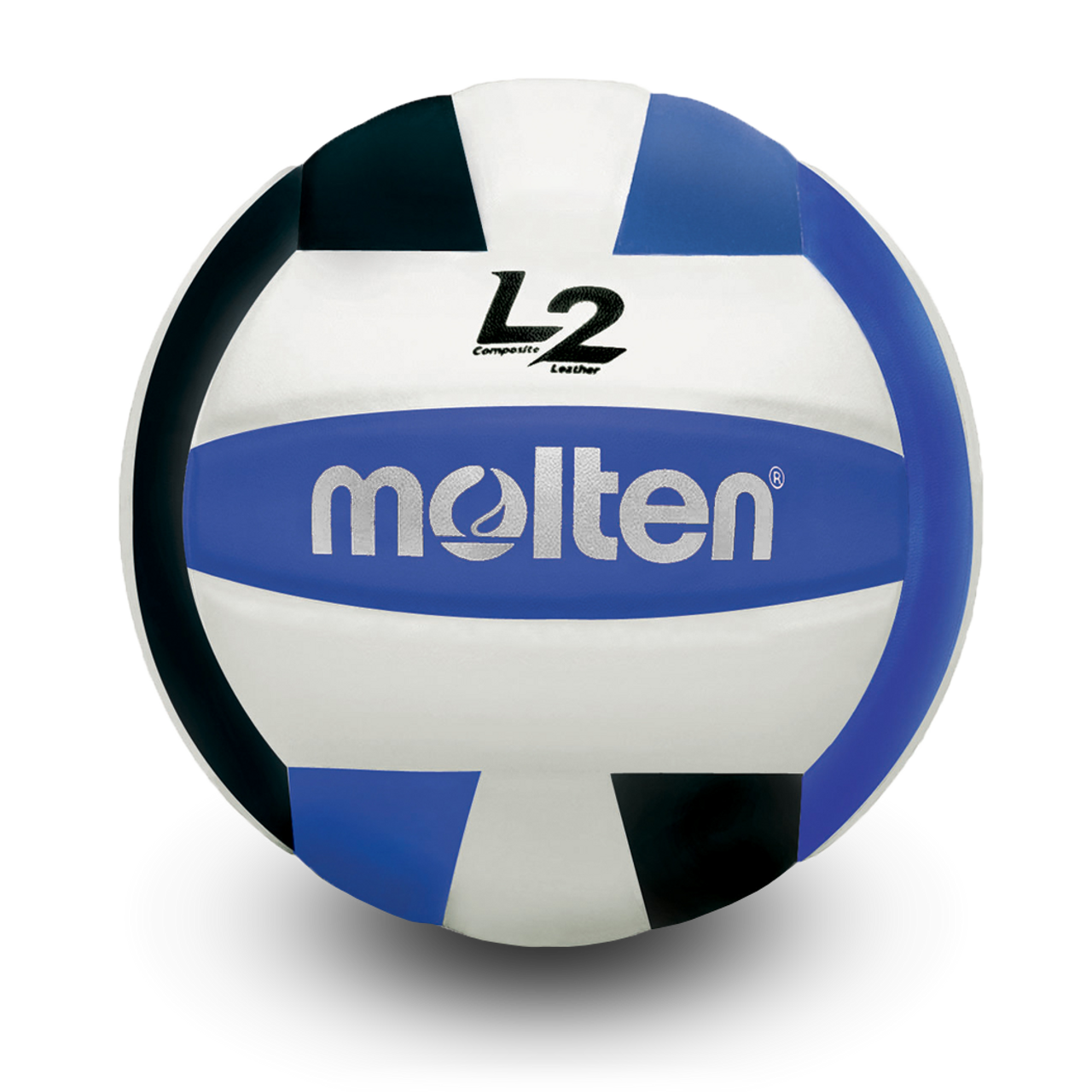 L2 Volleyball
