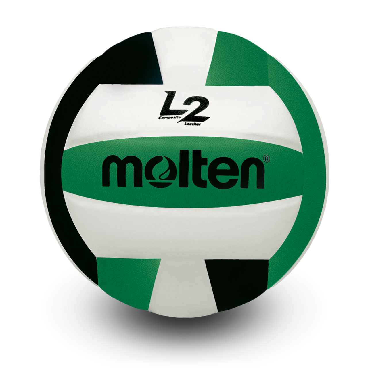 L2 Volleyball