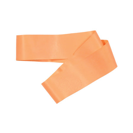 9lb Resistance Fitness Loop