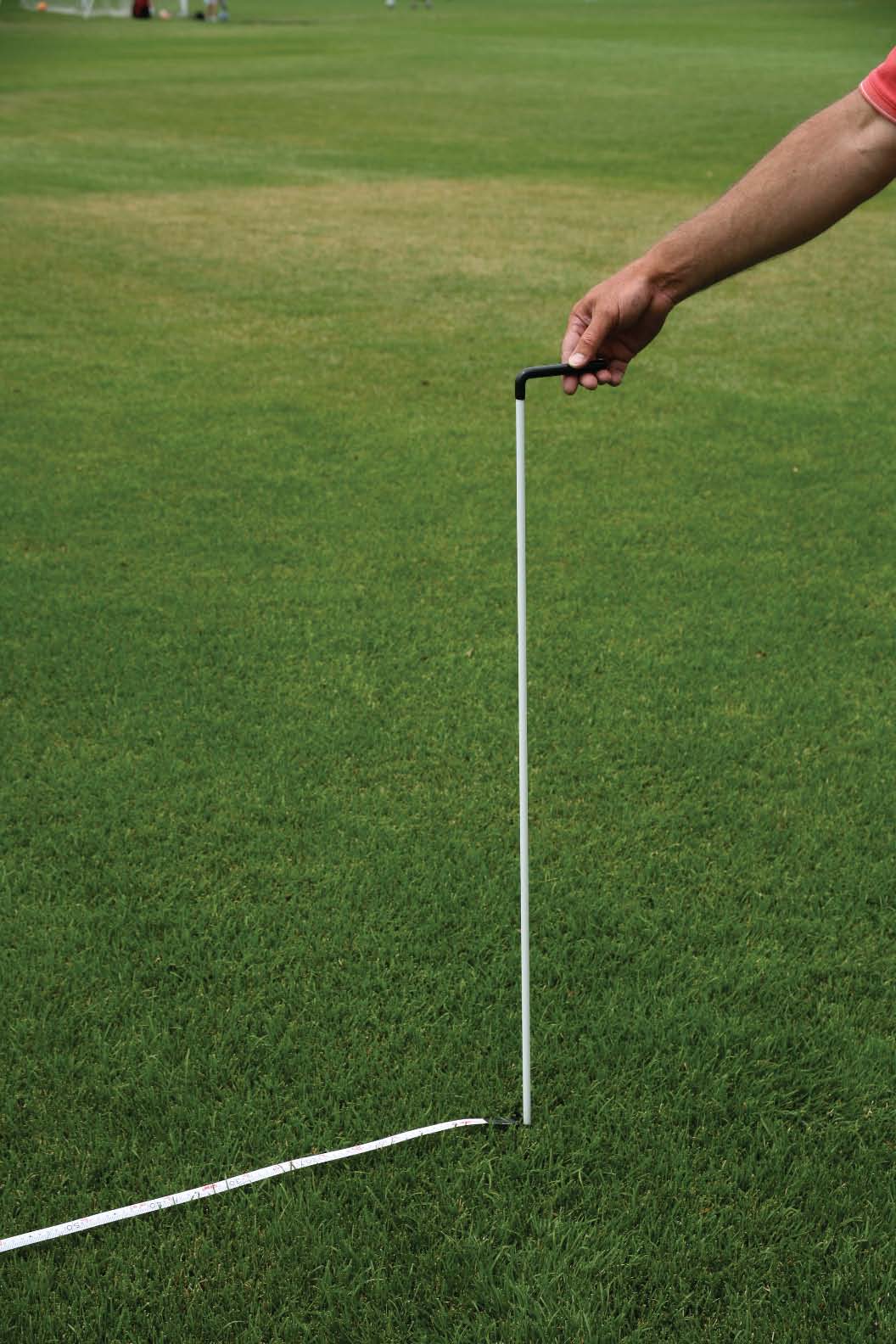Measuring Cane