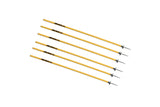 Coaching Sticks