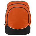Large Tri-Color Backpack