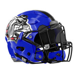 Football Helmet Decals