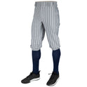 Youth Triple Crown 2.0 Pinstripe Knicker