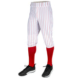 Men's Triple Crown 2.0 Pinstripe Knicker