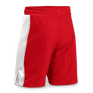 Side Panel Board Shorts
