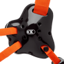 The Fusion
