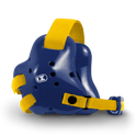 The Fusion