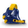 The Fusion