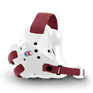 The Fusion