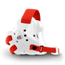 The Fusion