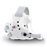 The Fusion