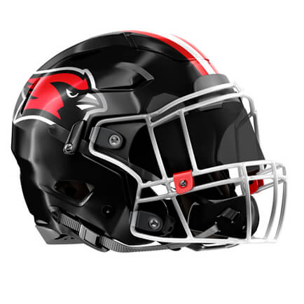Football Helmet Decals