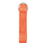 Football Belt