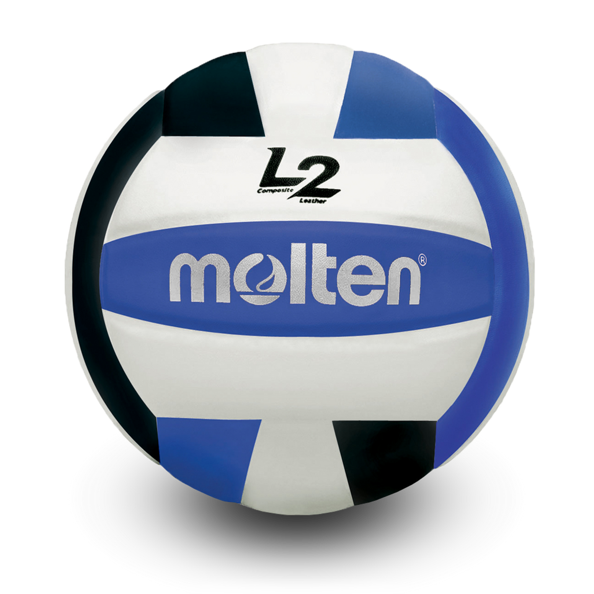 L2 Volleyball