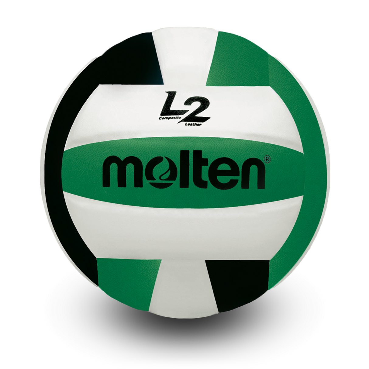 L2 Volleyball