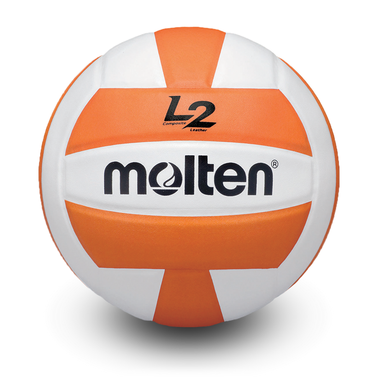 L2 Volleyball