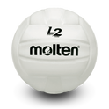 L2 Volleyball