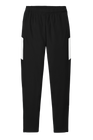 Men's Travel Pant