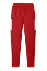 Men's Travel Pant