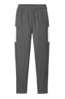 Men's Travel Pant