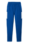 Men's Travel Pant