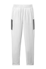 Men's Travel Pant