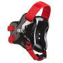 Fusion Headgear