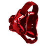 Fusion Headgear