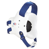 Fusion Headgear
