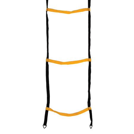 Web Agility Ladder