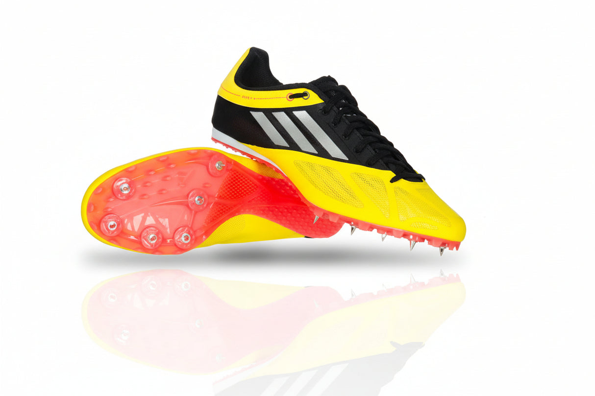 Spider 5 M