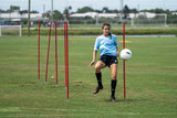 Coaching Sticks